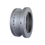 Dual Plate Check Valve