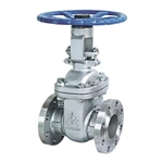 Cast Steel Gate Valve
