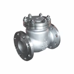 Swing Check Valve